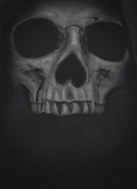 istock Human skull on dark background. Halloween grunge banner 855107148