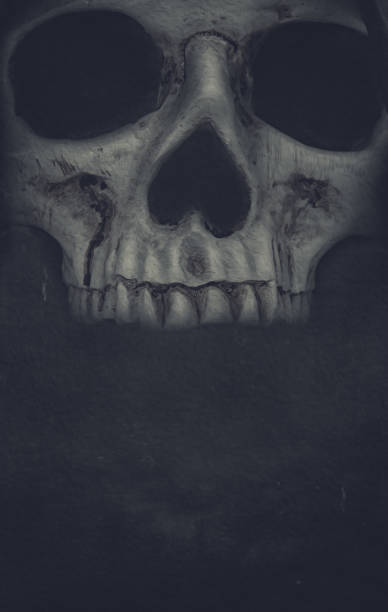 istock Human skull on dark background. Halloween grunge banner 855107252