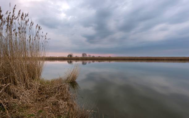 istock Sunset of the Fishpond 855110786