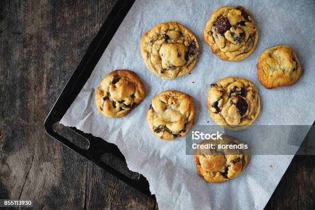 Frisch Gebackenen Chocolatechipcookies Stockfoto und mehr Bilder von Keks - Keks, Backblech, Frische