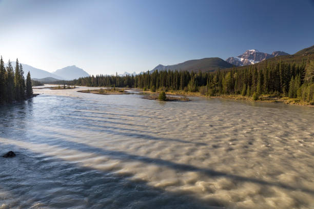 istock Early morning light raking across the Athabasca River 855117254