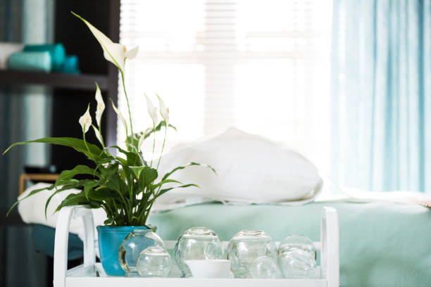 Alternative therapy examination bed with cups on a table Alternative therapy examination bed with cups on a table for cupping treatment. Alternative Medicine cupping therapy stock pictures, royalty-free photos & images