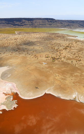 Aerial view of an airplane flying over Lake Magadi in the Great Rift Valley, Kenya. Lake Magadi is the southernmost lake in the Kenyan Rift Valley, north of Tanzania's Lake Natron. The Rift Valley contains a chain of volcanoes and many other lakes such as the Turkana, Baringo, Bogoria and Nakuru. During the dry season Lake Magadi is covered by soda and is known for its wading birds. During the rainy season, a thin layer of brine covers much of the saline pan that evaporates rapidly leaving a surface of salt that cracks. The lake is recharged by saline hot springs and is very rich in blue-green algae, which feed insects and massive flocks of lesser flamingos (Phoenicoparrus minor). Altogether it forms a very peculiar mineral and colour-rich landscape. Currently the area is inhabited by the cattle-herder Masai tribes, but the relics of many hominids have been found in the escarpments.