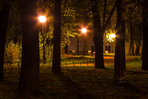 istock Night view of Yusupov Garden 855134748