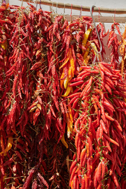 istock A bunch of red chili peppers 855134988