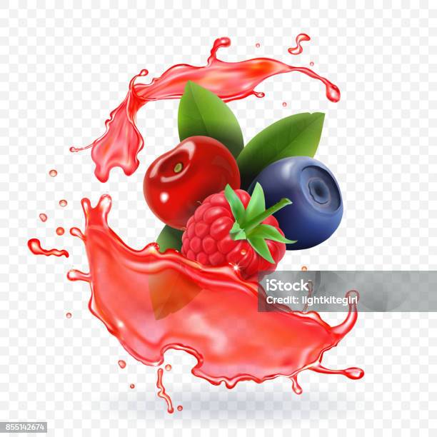 Forest Mixed Berries Juice Splash 3d Realistic Vector Stock Illustration - Download Image Now