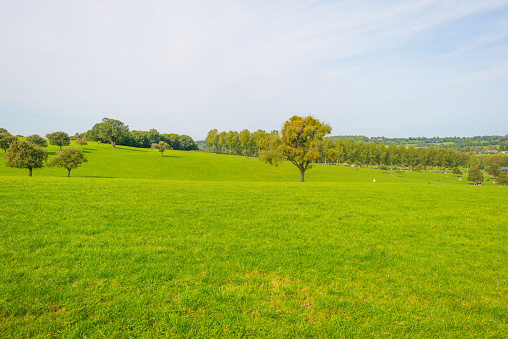 Panorama of a green meadow on a hill in sunlight at fall