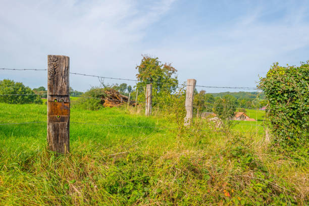istock Panorama of a green meadow on a hill in sunlight at fall 855155214