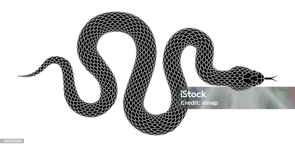 Vector snake silhouette isolated on a white background. Snake silhouette illustration. Black serpent isolated on a white background. Vector tattoo design. Snake stock vector