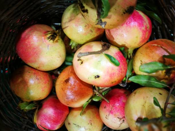 istock Pomegranate in display at farmers market 855161194