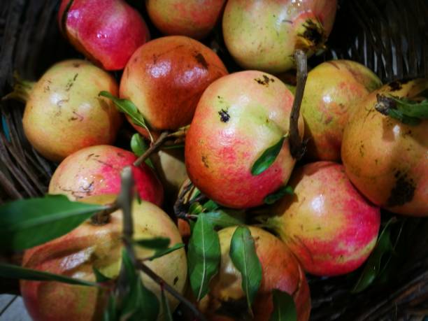 istock Pomegranate in display at farmers market 855161200