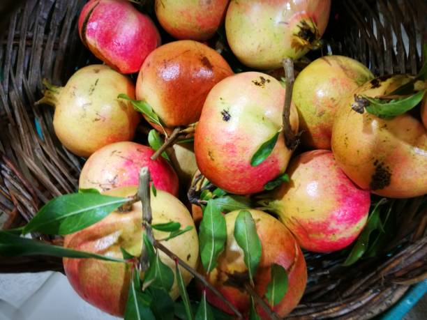 istock Pomegranate in display at farmers market 855161204