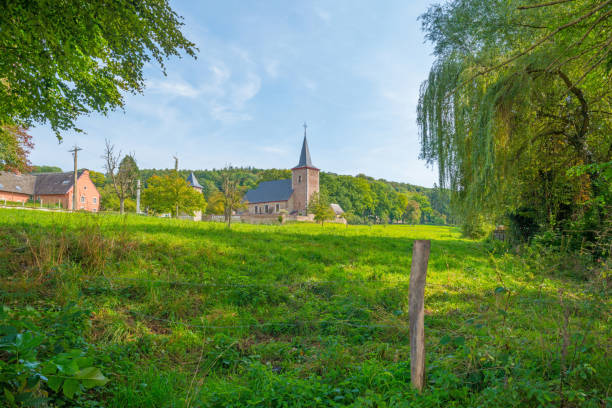 istock Panorama of a green meadow on a hill in sunlight at fall 855161208