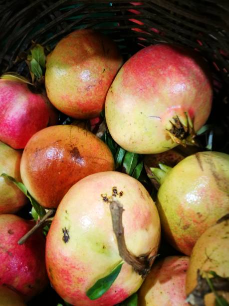 istock Pomegranate in display at farmers market 855161226