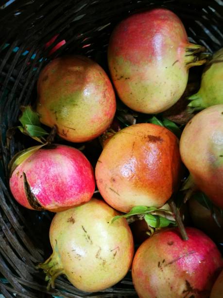 istock Pomegranate in display at farmers market 855161230