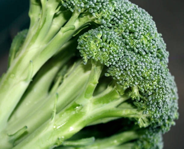 istock Fresh Organic Broccoli - a healthy and nutritious food 855161358
