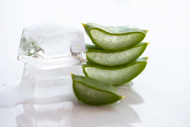 istock Aloe Vera Slices with Ice Cubes 855164588