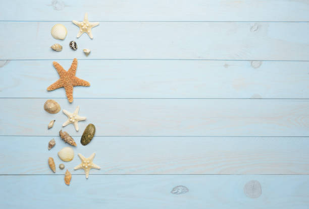 istock Seashells, starfish and sea shells on blue wooden background 855166014