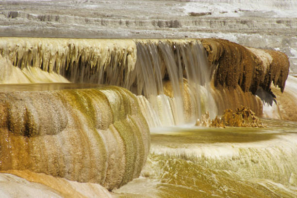 The Canary Spring section of the Mammoth Hot Spring Terraces in Yellowstone National Park, Wyoming, U.S.A.