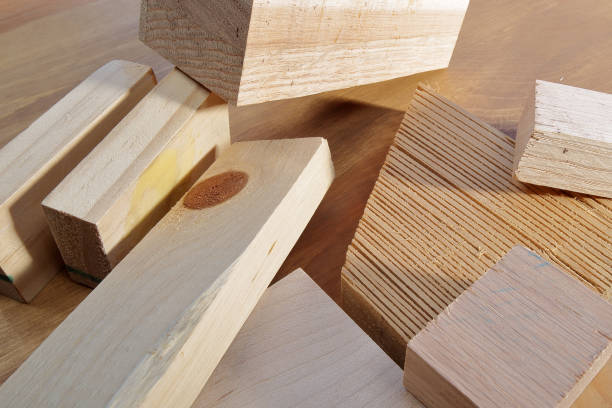 istock Found in the woodshop 855180778