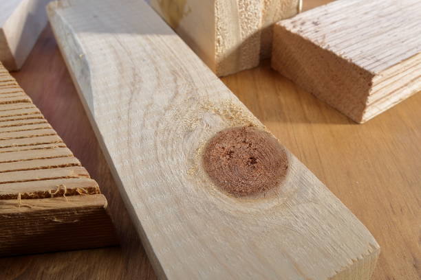 istock Found in the woodshop 855180814