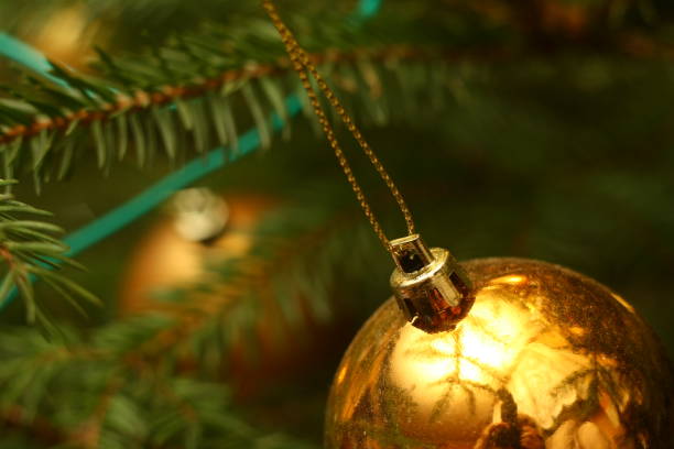 Photo of christmas tree in evening with lights on stock photo