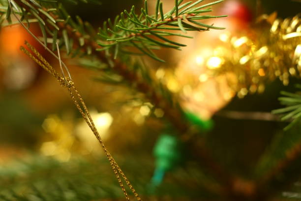 Photo of christmas tree in evening with lights on stock photo