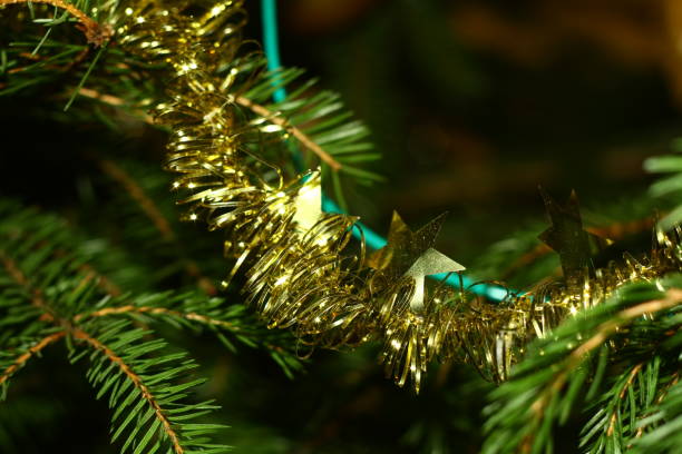 Photo of christmas tree in evening with lights on stock photo