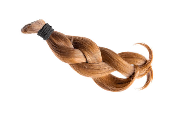 istock Natural hair on a white background 855187086