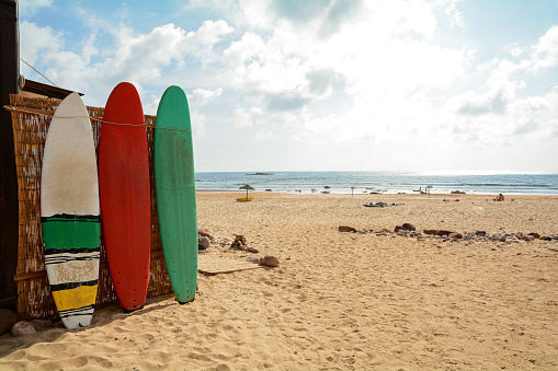 Surfboards at Praia do Amado, Beach and Surfer spot, Algarve Portugal