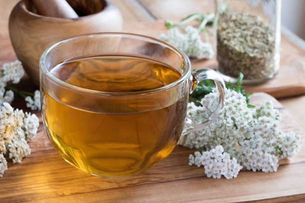 istock A cup of yarrow tea 855188536