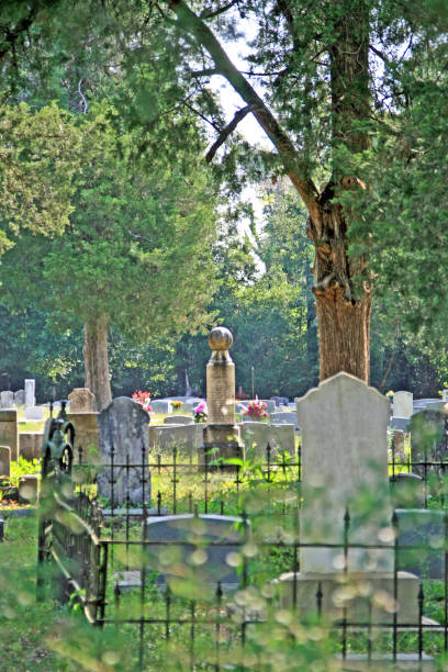 istock historical shabby cemetery overgrown greenery 855188684