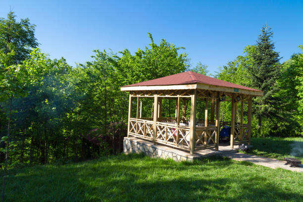 istock Guzeldere Natural Park with Large Meadow Area 855191300
