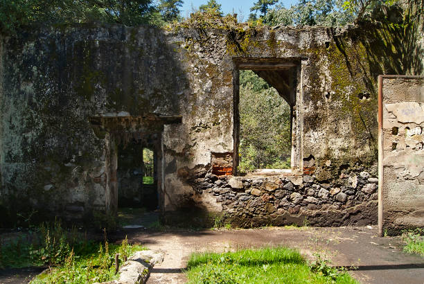 istock ruins in the dinamos 855195920