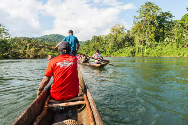 Two canoes on the Rio Platano, native men transporting tourists, in background green bush and trees against blue sky. La Moskitia is vast part of the Honduras, main transportation is on the river as there is very few roads.