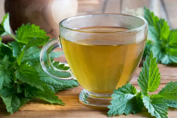 A cup of nettle tea on a wooden table, with fresh stinging nettles in the background