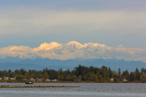 Mount Baker from Semiahmoo Bay in Blaine Washington Mount Baker along Semiahmoo Bay waterfront homes in Blaine Washington State blaine washington stock pictures, royalty-free photos & images