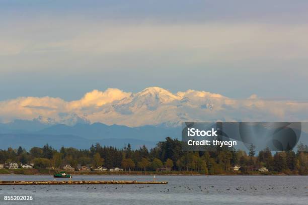 Mount Baker From Semiahmoo Bay In Blaine Washington Stock Photo - Download Image Now