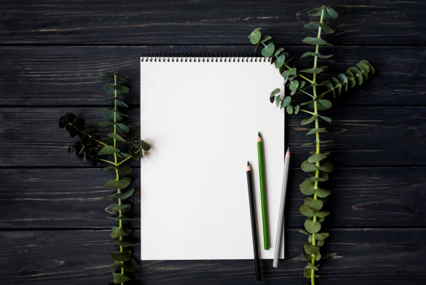 istock Sketchbook and pencils on black wooden table, decorated with green eucalyptus branches. Flat lay, top view 855202074