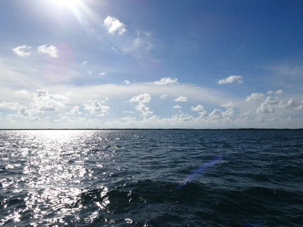 istock mangrove islands and open ocean in the Florida Keys 855202134