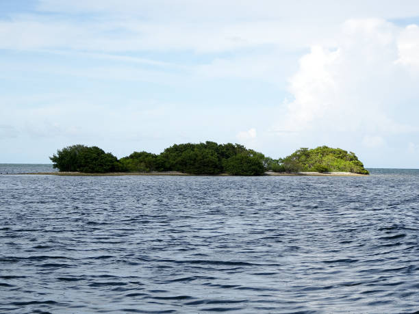 istock mangrove islands and open ocean in the Florida Keys 855202264