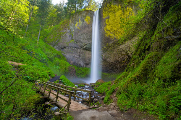 istock Wood Bridge at Latourell Falls 855211568