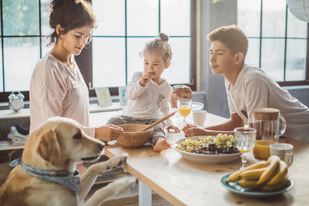 istock Dog want to join breakfast 855211854