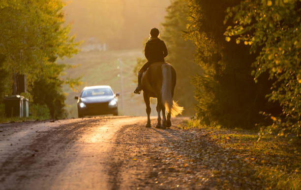 istock Woman horseback riding in autumn 855215332