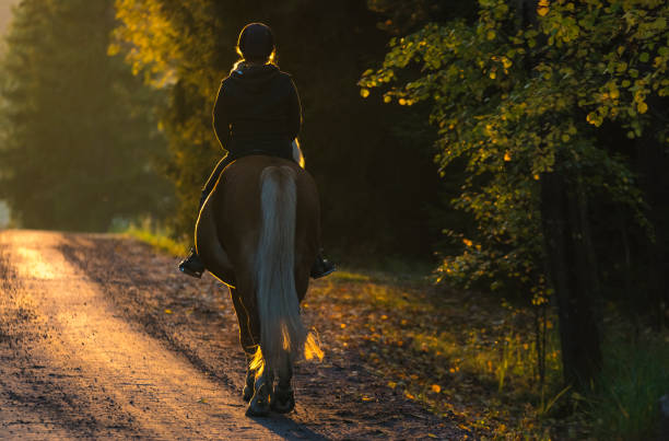 istock Woman horseback riding in autumn 855217470