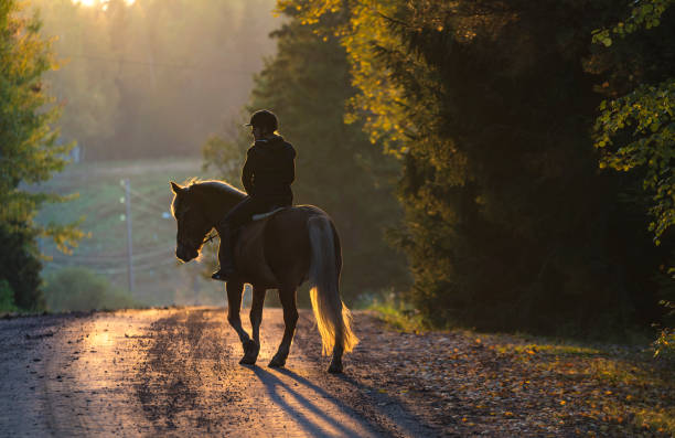 istock Woman horseback riding in autumn 855217558