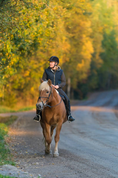 istock Woman horseback riding in autumn 855218344