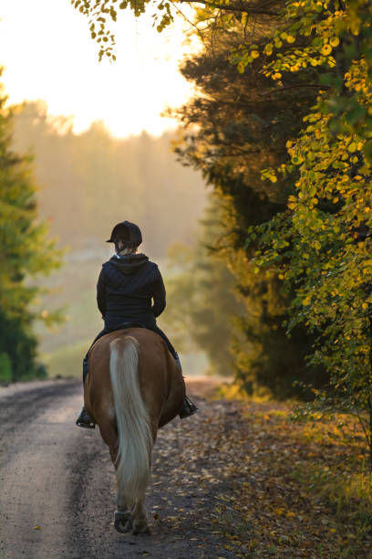 istock Woman horseback riding in autumn 855220870
