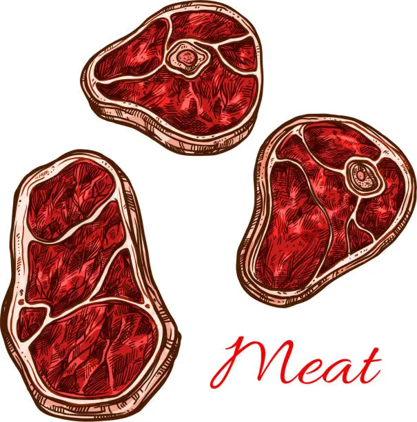 Vector illustration of Vector fresh meat beefsteak filet vector sketch