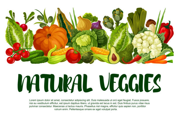 wektorowy plakat z warzywami lub warzywami żniwa - vegetable leek kohlrabi radish stock illustrations
